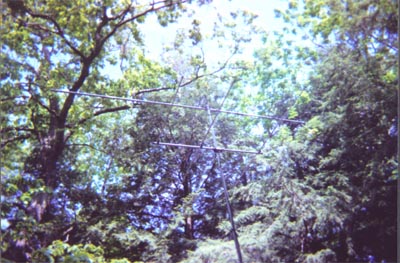 Beam antennas above the tent on 6 and 2 meters